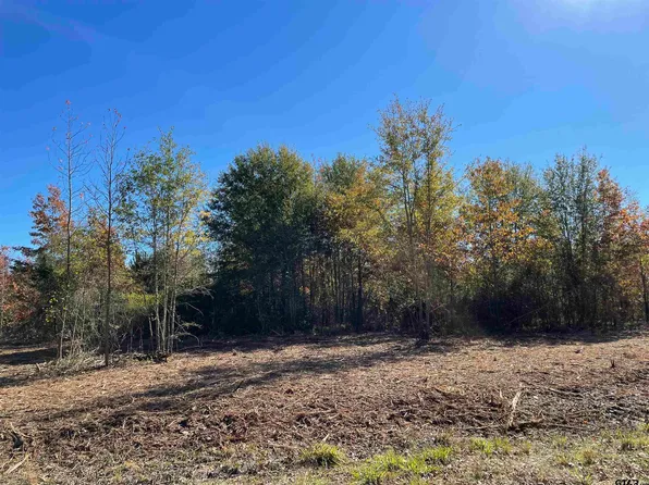 County Road 1301 #2, Rusk, TX 75785