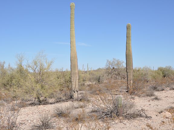 5th image of 0 E Davis Ranch Rd