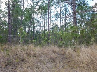 Commonwealth Ave N, Polk city, FL 33868