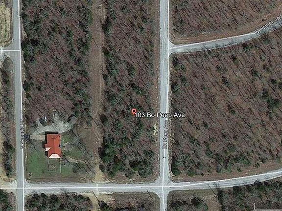 5th image of 103 N Bo Peep Ave