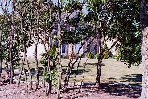 Side View