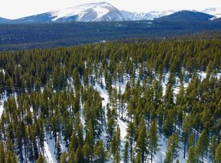 1675 Venture Rd, Fairplay, CO 80440