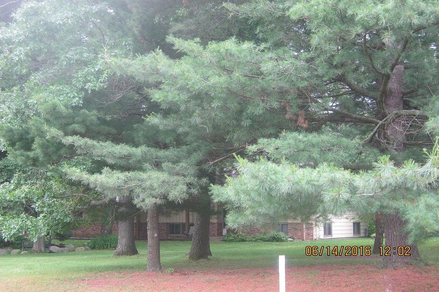 2nd image of 5244 215th Ln NE