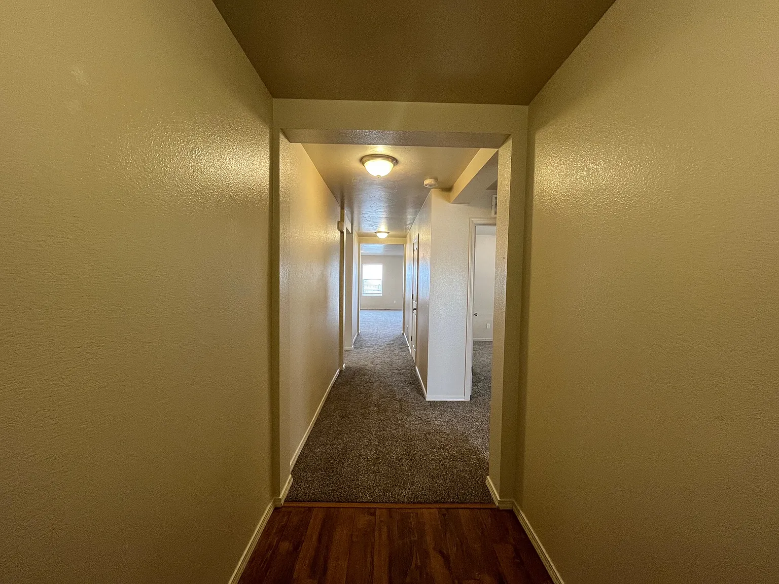 Chino 16665 - 16665C — Photo 2