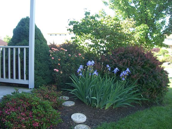 Beautiful gardens