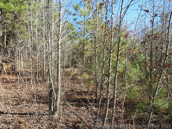 2nd image of Glory Light Rd