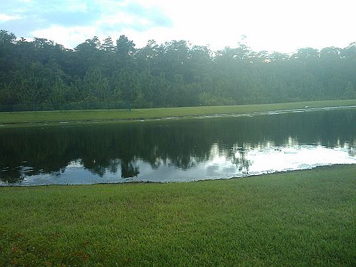Nature Preserve View