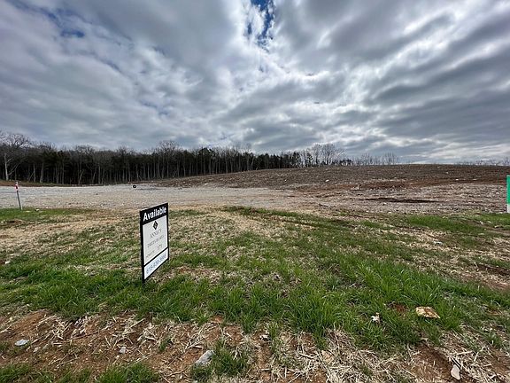 Beautiful .65 acre site backing to common area
