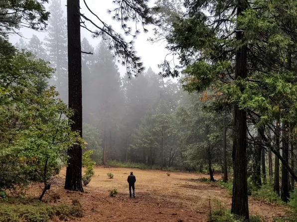 13863 Altair Dr, Nevada City, CA 95959