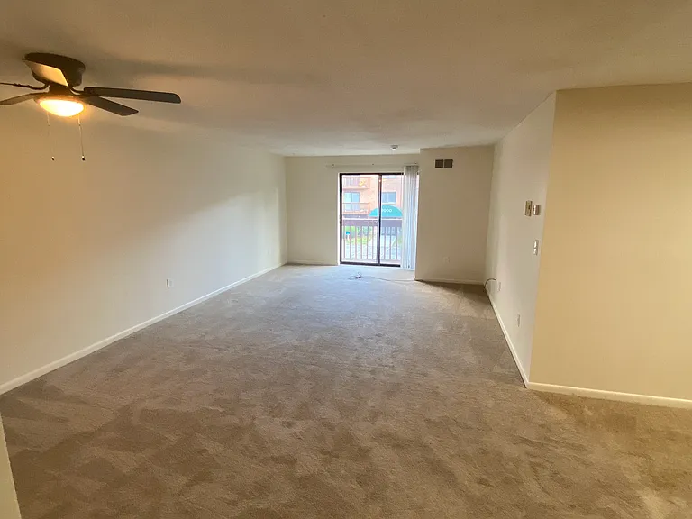 1217 Harbor View Dr #1217 — Photo 13