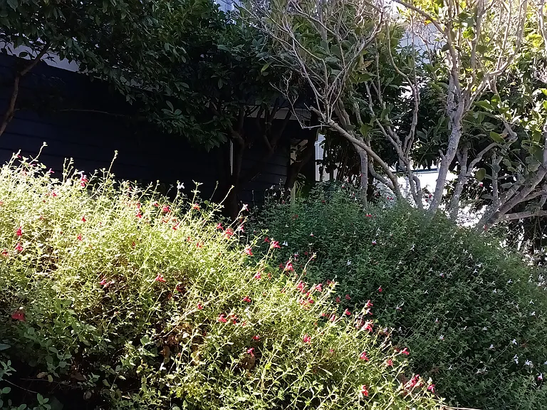 725 Alhambra St — Photo 38