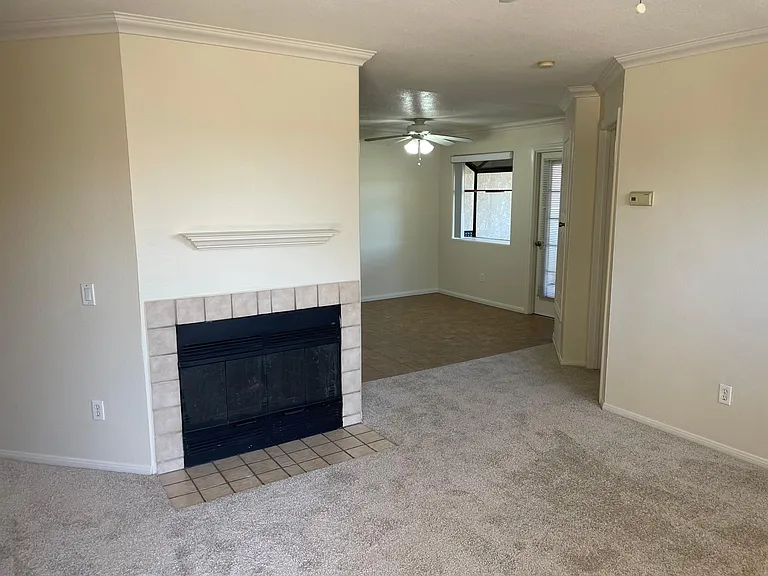 Living room and kitchen