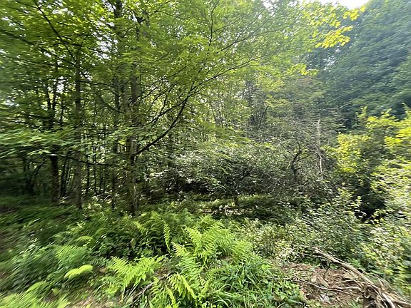 4th image of 0 Fox Hollow Rd