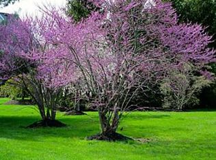 6 Lovell Dr, Plainsboro, NJ