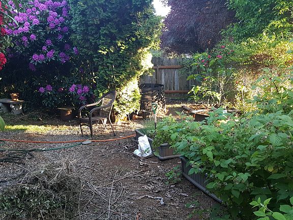 Garden area