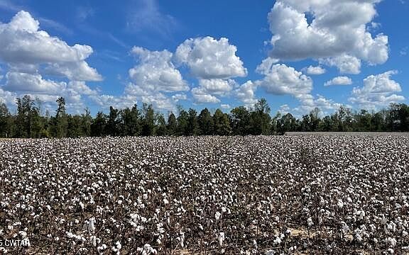 2nd image of 0 Christmasville Rd