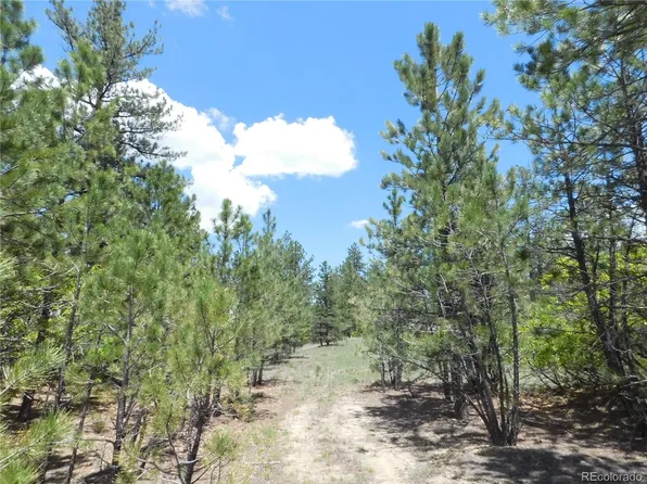 2419 Lupine Circle LOT 14, Larkspur, CO 80118