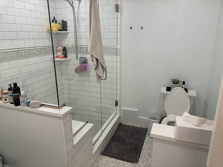 Primary bathroom shower and toilet.