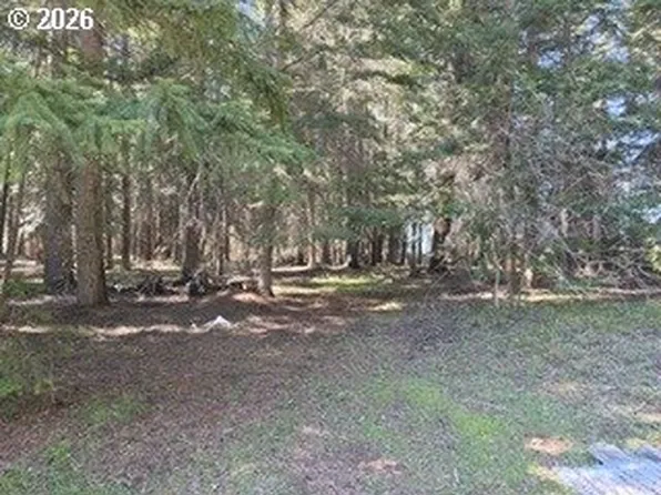 1251 Canyon Rd, Appleton, WA 98602