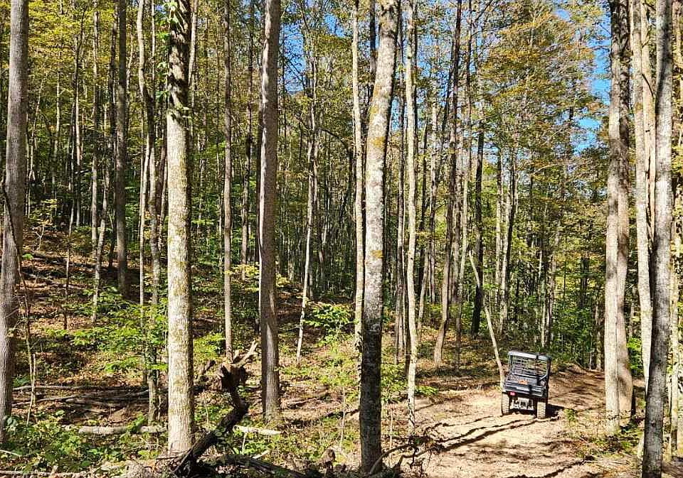 1st image of Bunch Hollow Rd