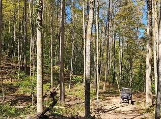 Bunch Hollow Rd, New Tazewell, TN 37825