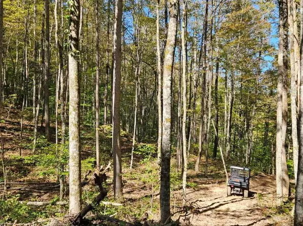 Bunch Hollow Rd, New Tazewell, TN 37825