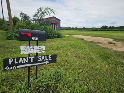 2000 Overpass Rd, Campbellton, FL, 32426