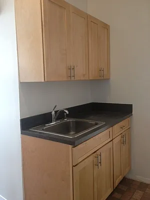 Rented by Manhattan Flats | media 26