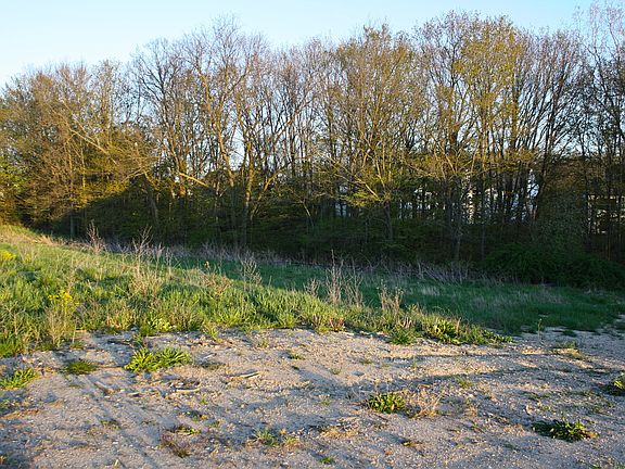 2nd image of 634 Stonebridge Ct Lot 16