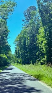 0 Weir Road, Summerville, SC, 29483