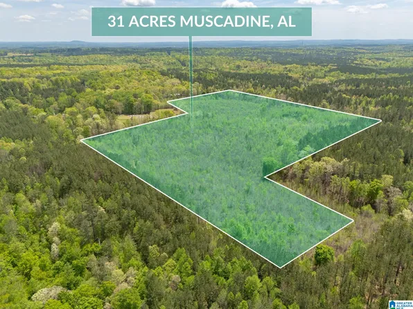 0 County Road 49 #1, Muscadine, AL 36269