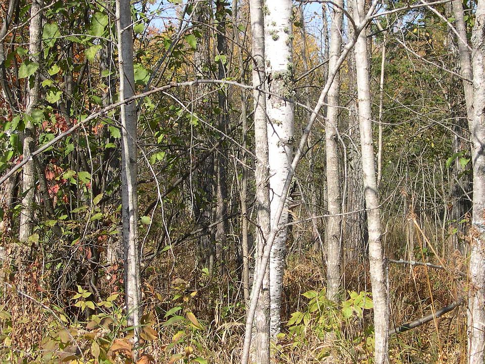 2nd image of N Of The End Of Rebecca Rd