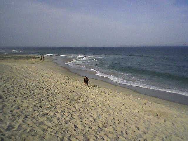 2nd image of 17 4th Ave