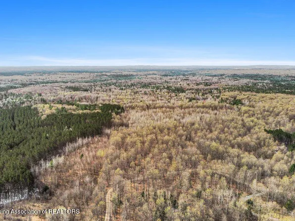 6744 Piper Ln, Frederic, MI 49733