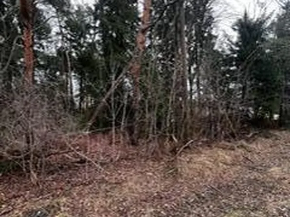 V L Holton Rd, Muskegon, MI 49445