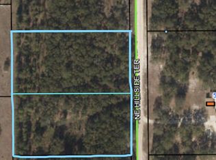 Tbd Hillside Terr, Lee, FL 32059