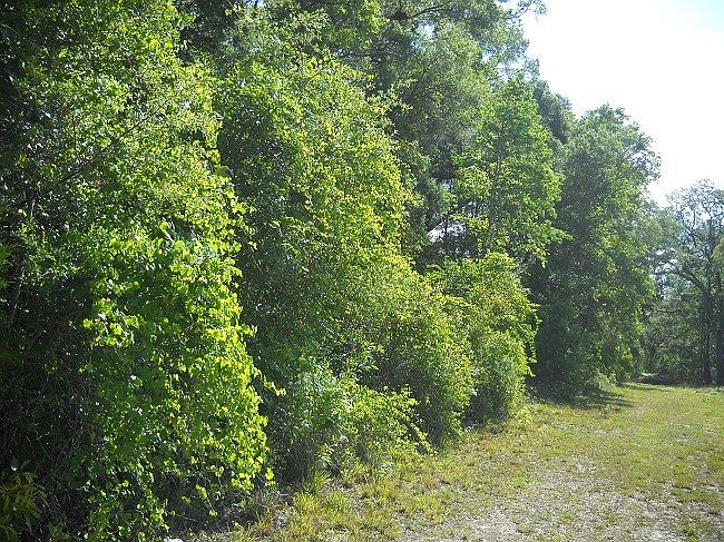 2nd image of TBD NE 357th Ave