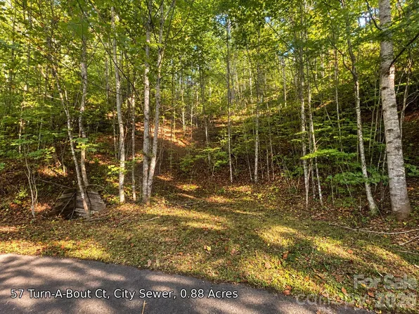 250 Turn A Bout Ct #57, Waynesville, NC 28785