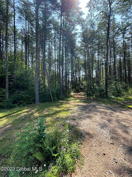 3rd image of 42 Snowshoe Ridge