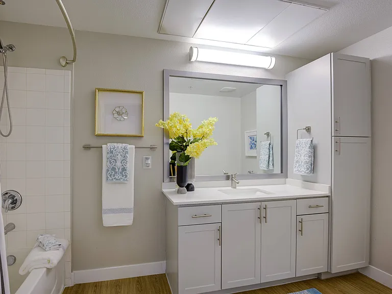 Huge Guest Bath (Platinum Renovation)