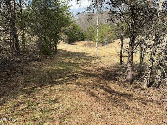 4th image of 0 Dyer Hollow Rd