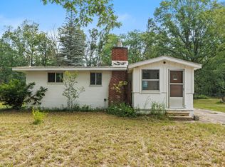 7238 S Kidd Blvd, Baldwin, MI 49304