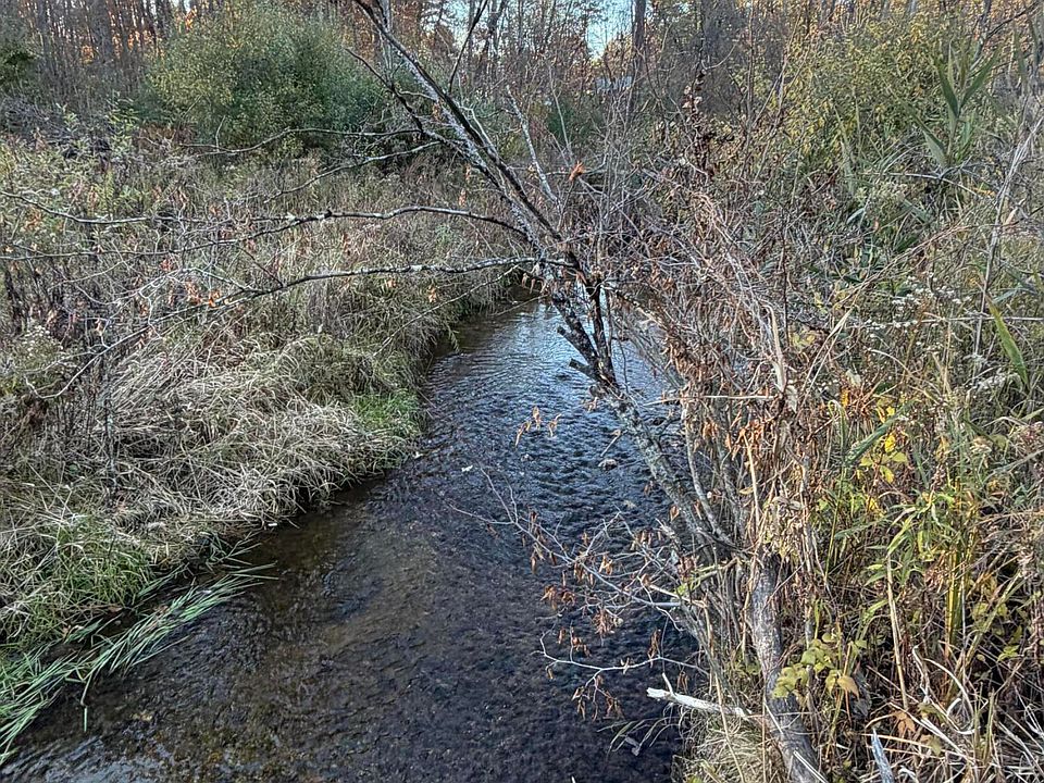 2nd image of V/l N Tamarack Rd