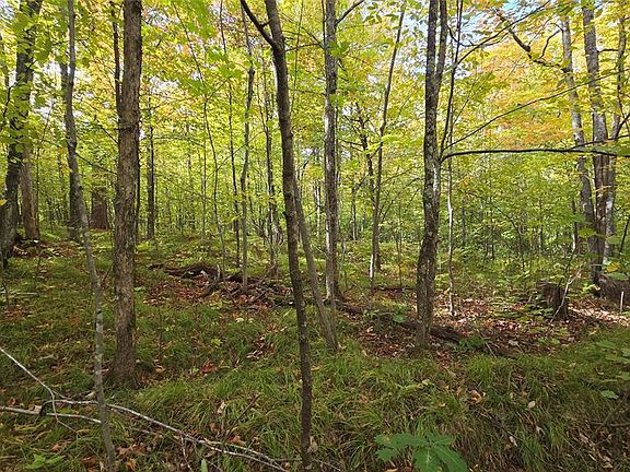 4th image of Lot 30 Woodcrest Drive
