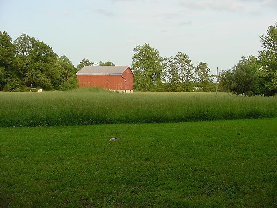 Yard view