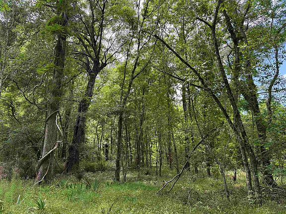 4th image of 17.8 Acres-5871 Pennyroyal Rd.