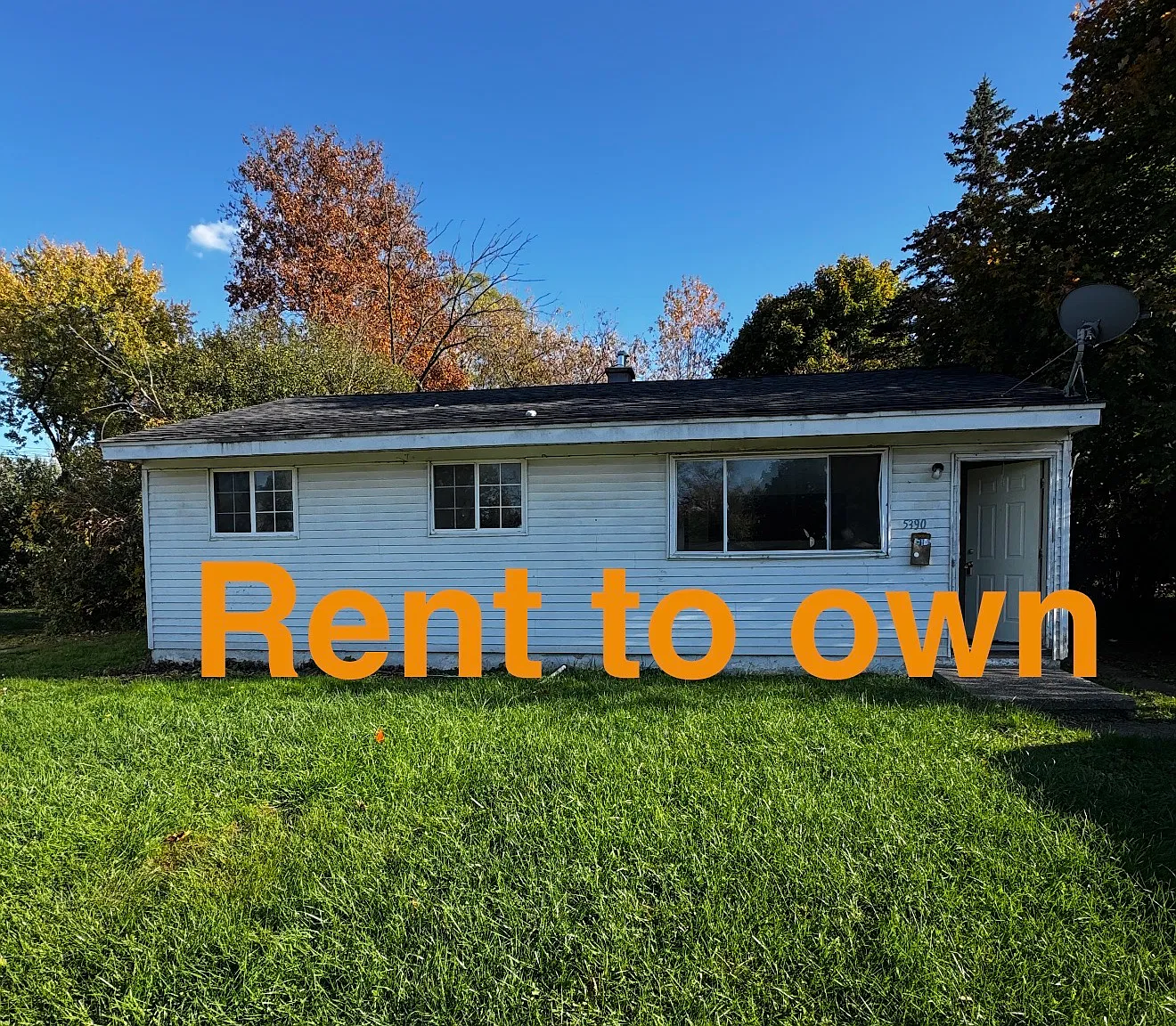 1 bed, $975 — Photo 1