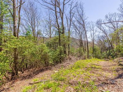 99999 Fairview Forest Dr, Fairview, NC, 28730