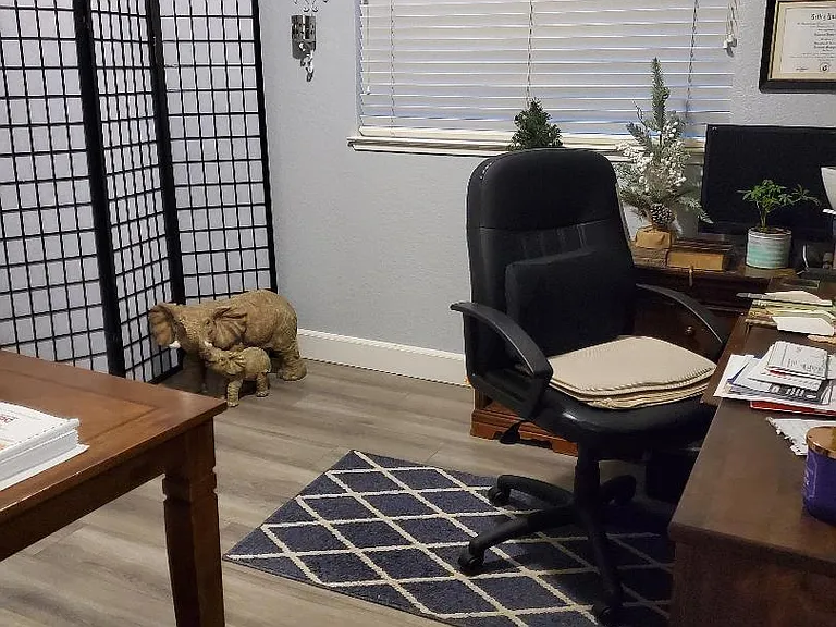 1251 Crescendo Dr — Photo 21
