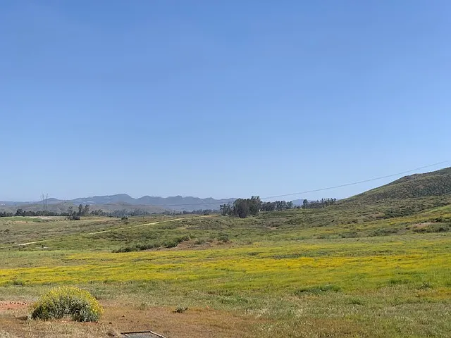 Sharp Rd — Photo 3